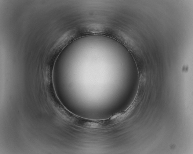 X0000097600170200803071436