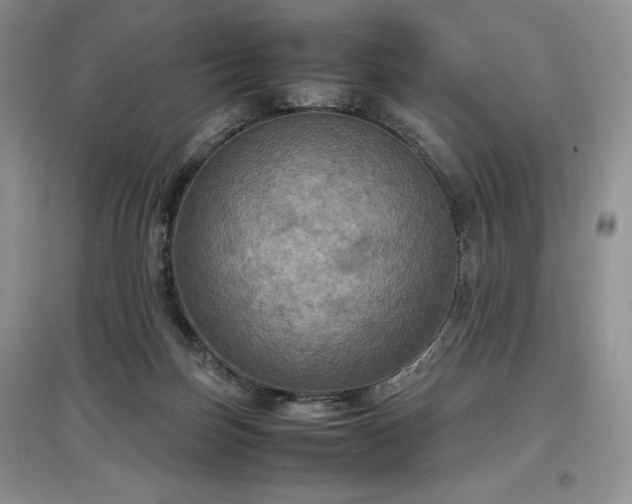 X0000097600171200803071436