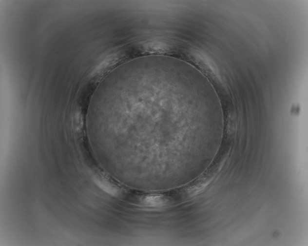 X0000097600173200803071436