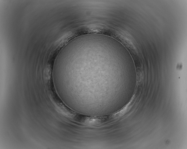 X0000097600174200803071436