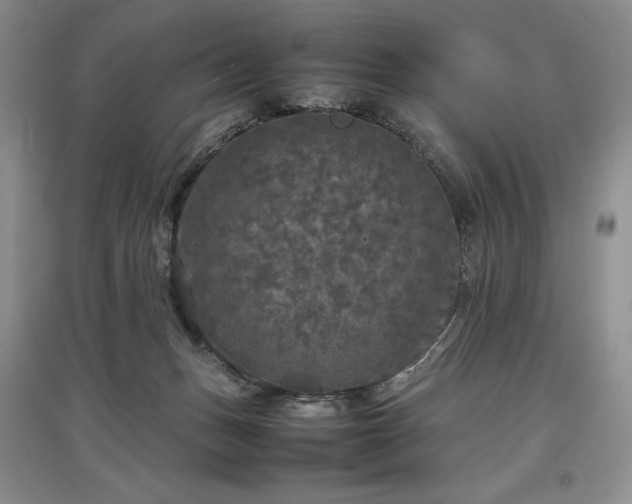 X0000097600175200803071436