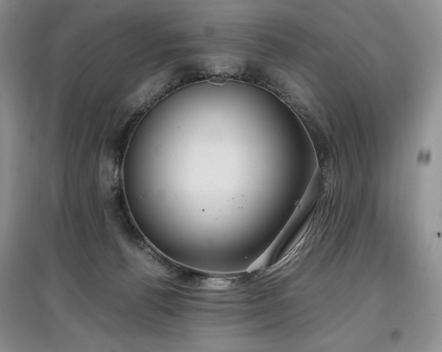 X0000097600176200803071436