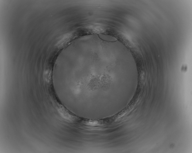 X0000097600177200803071436