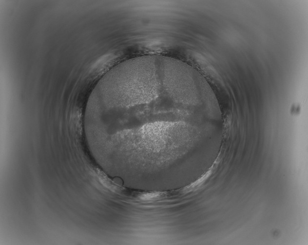X0000097600178200803071436