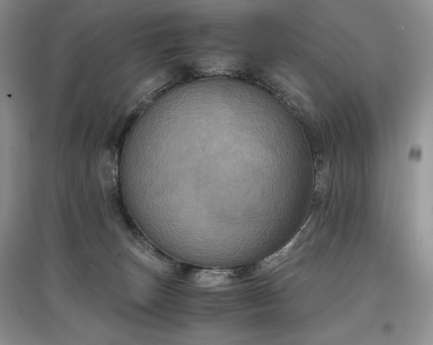 X0000097600179200803071436