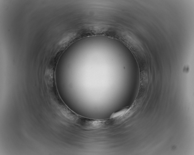 X0000097600184200803071436