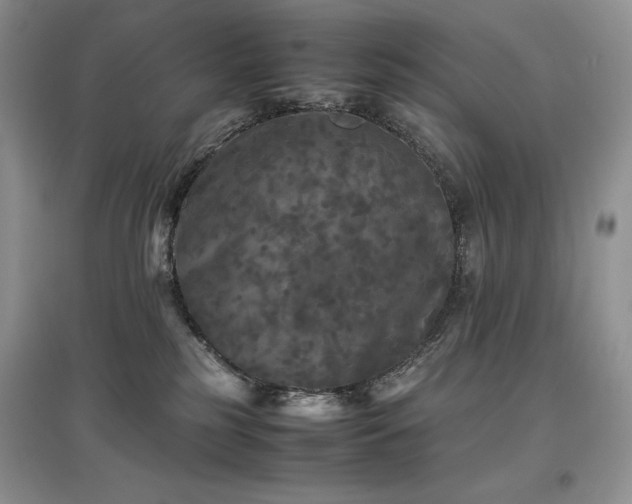 X0000097600185200803071437