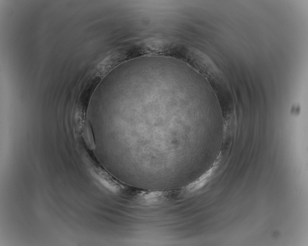 X0000097600186200803071437