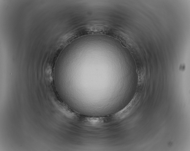 X0000097600187200803071437