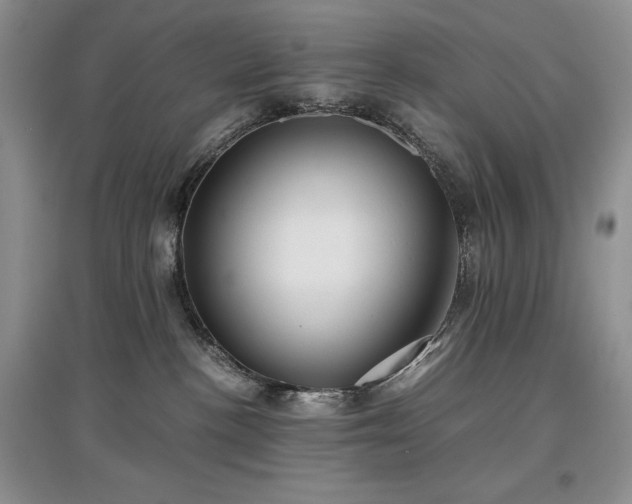 X0000097600188200803071437