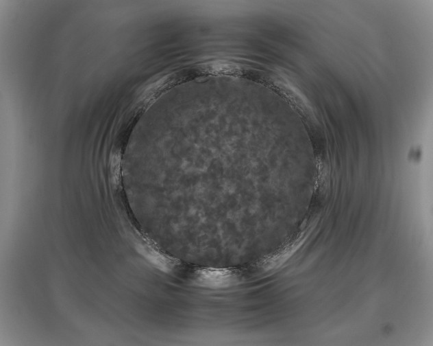 X0000097600189200803071437