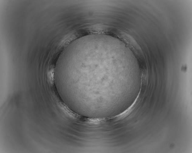 X0000097600190200803071437