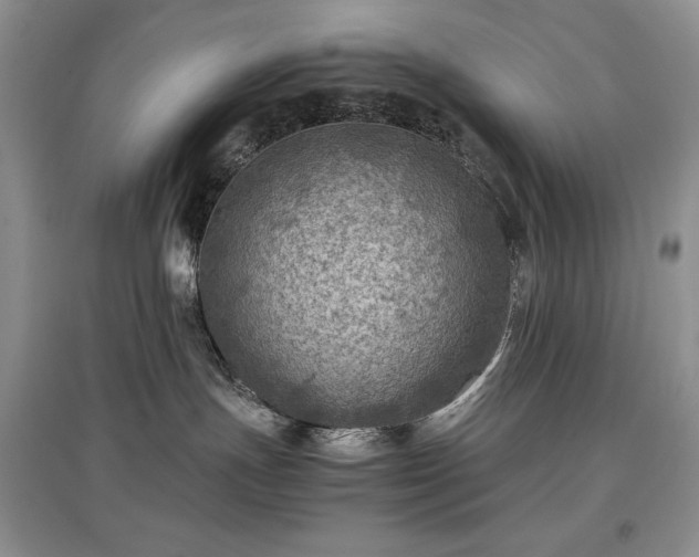 X0000097600191200803071437