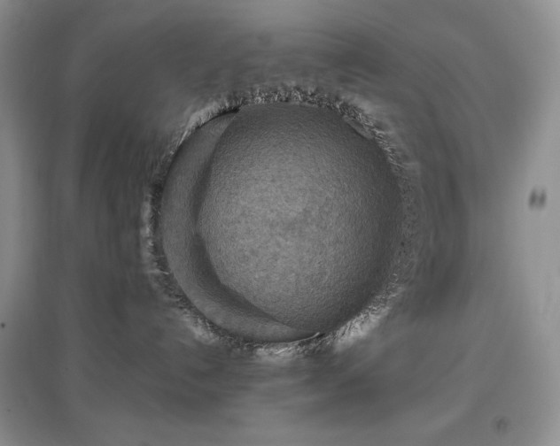 X0000097600192200803071437