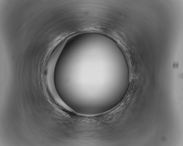 X0000097600193200803071436
