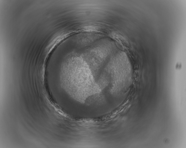 X0000097600194200803071436