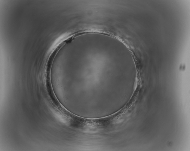 X0000097600199200803071436