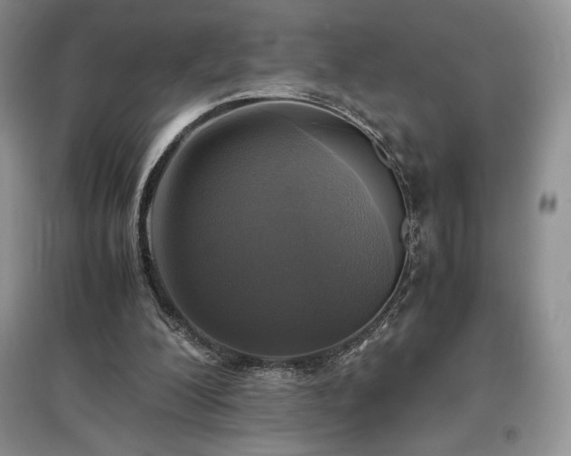 X0000097600200200803071436