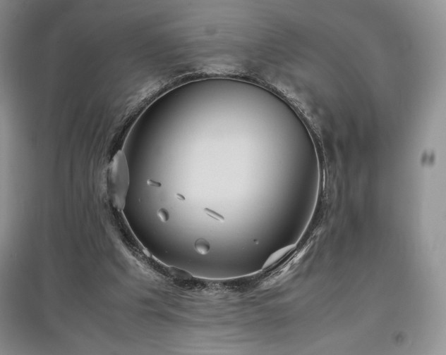 X0000097600201200803071436