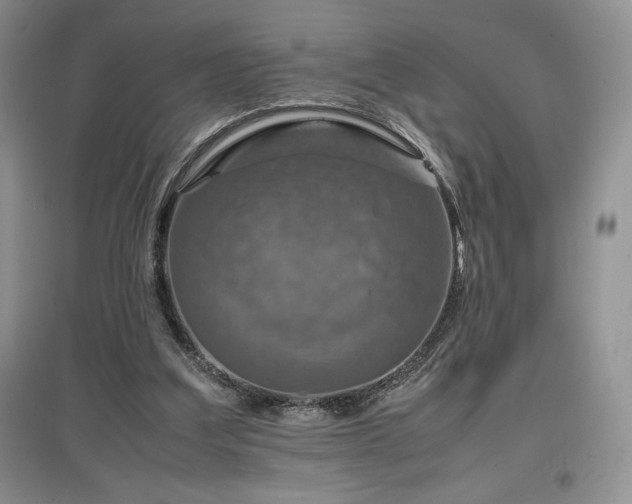 X0000097600203200803071436