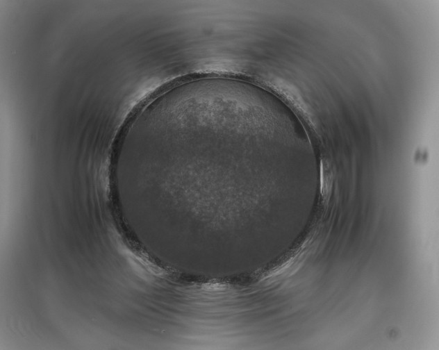 X0000097600204200803071436