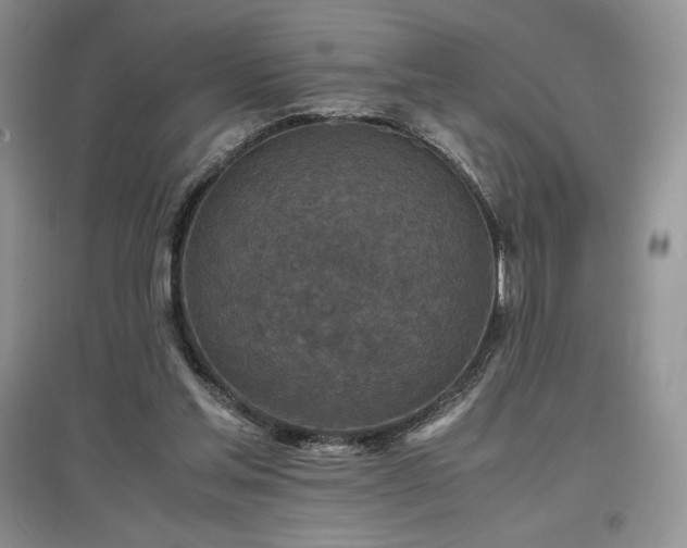 X0000097600205200803071436