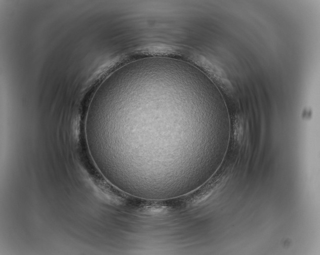 X0000097600206200803071436