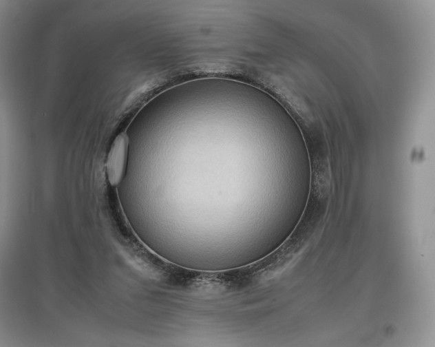 X0000097600207200803071436