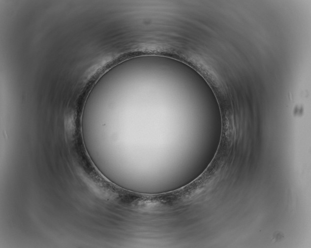 X0000097600208200803071436