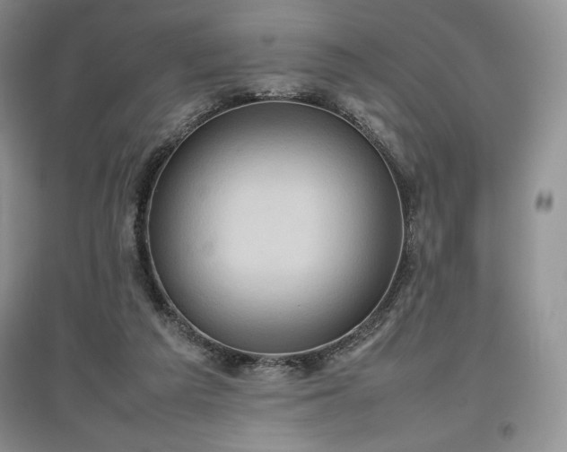X0000097600209200803071436