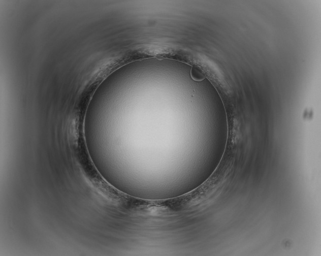 X0000097600210200803071436