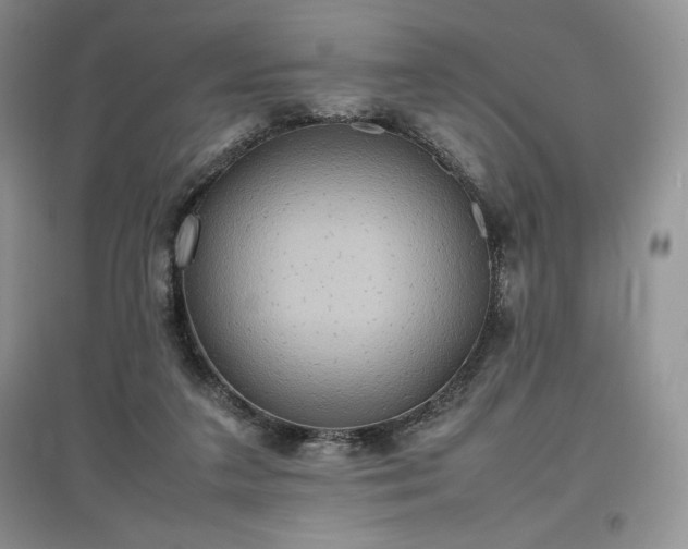 X0000097600211200803071436