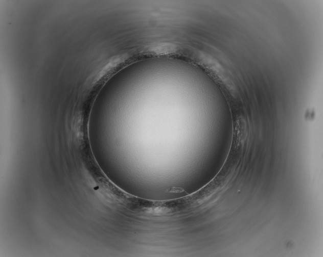 X0000097600212200803071436