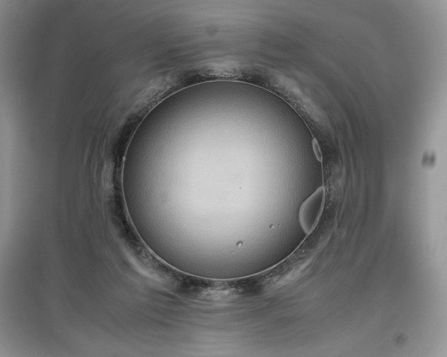 X0000097600213200803071436