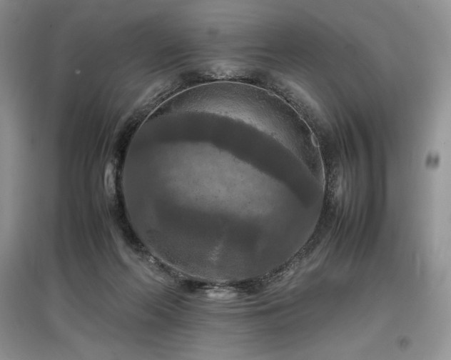 X0000097600214200803071436