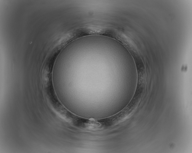 X0000097600215200803071436