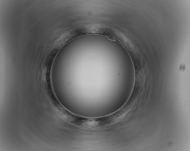 X0000097600217200803071436