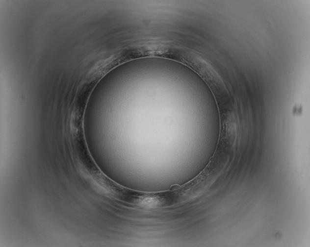 X0000097600218200803071436