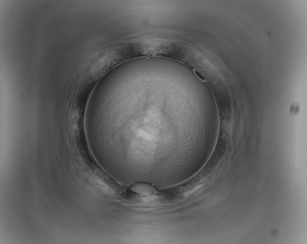 X0000097600219200803071436