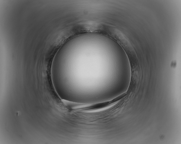 X0000097600221200803071436