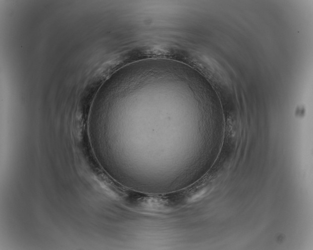 X0000097600223200803071436