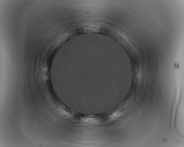 X0000097600224200803071436
