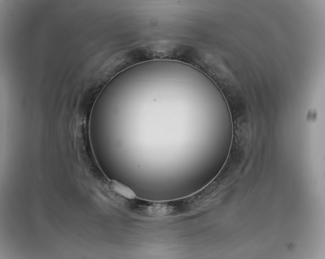 X0000097600225200803071436