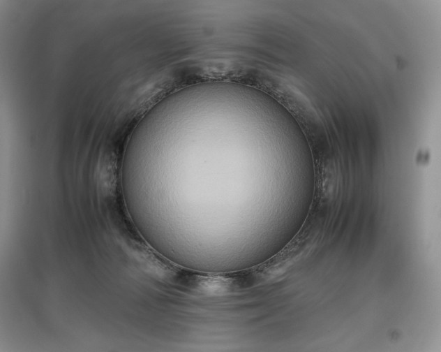 X0000097600226200803071436