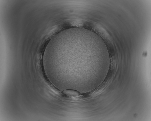 X0000097600229200803071436