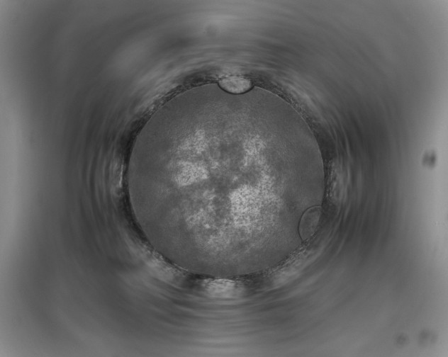 X0000097600230200803071436