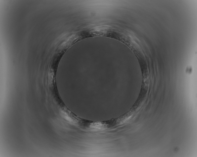 X0000097600231200803071435