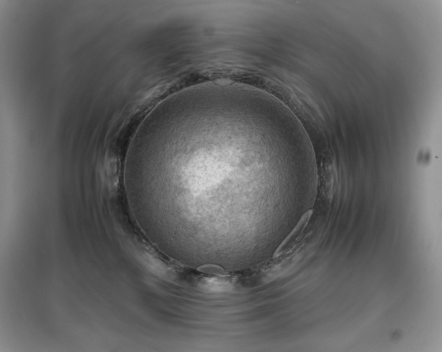 X0000097600232200803071435
