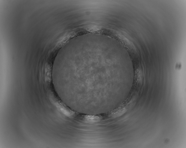 X0000097600234200803071435