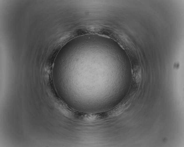 X0000097600235200803071435